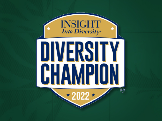 InsightDiversitiyAwardBanner 550x413