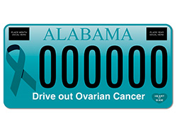 NLOCF car tag MC