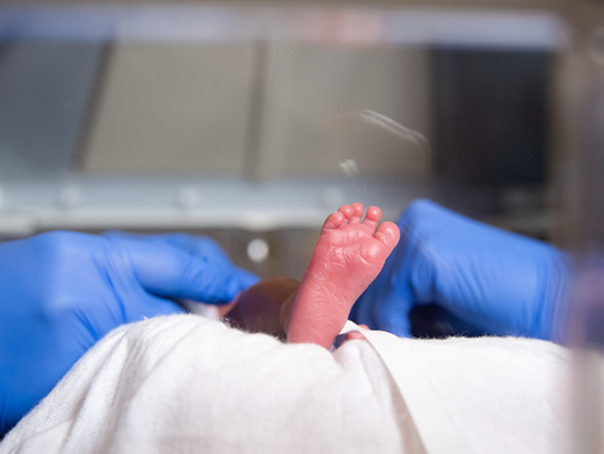Stream Antimicrobial peptides 