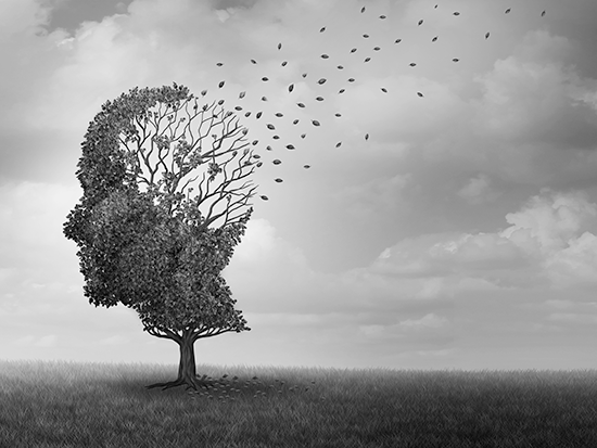 Stream Parkinsons Brain