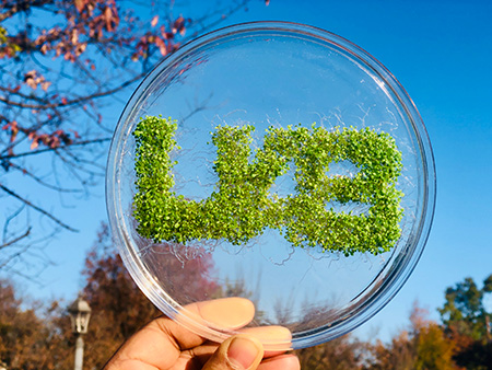 UAB