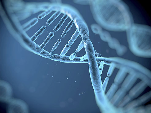 genome 2