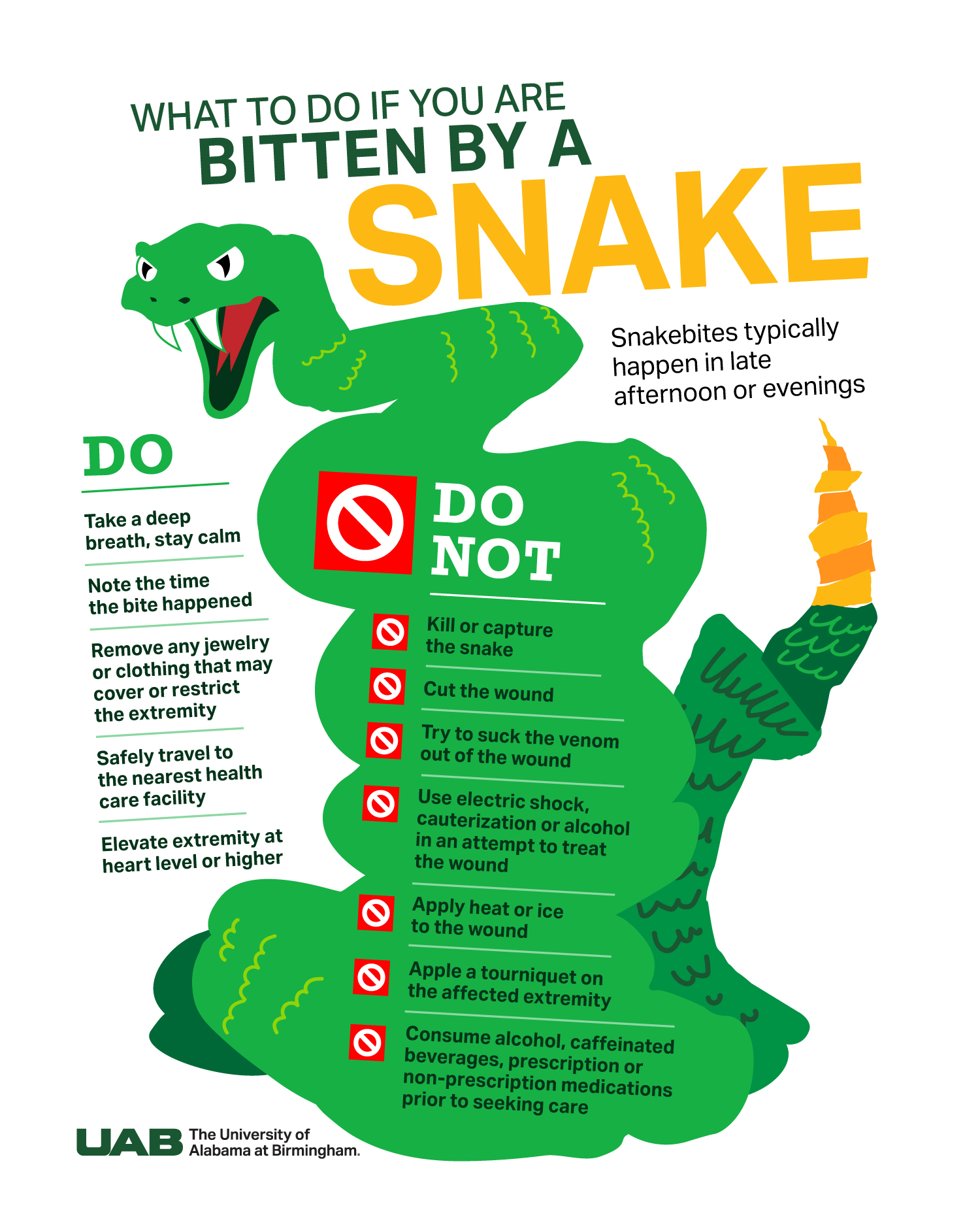 Snake Bite Safety graphic