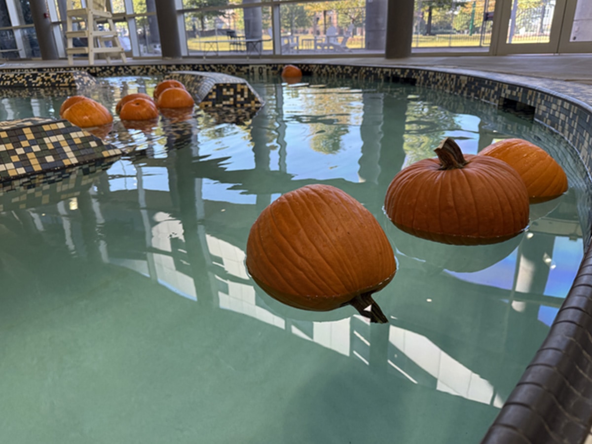 Pumpkins floating in a pool.