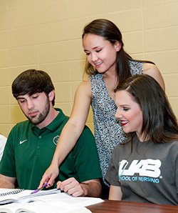 BSN tutors