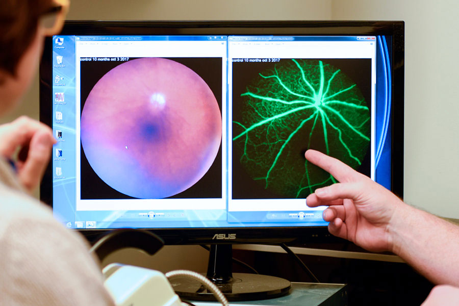 Biomedical Optics
