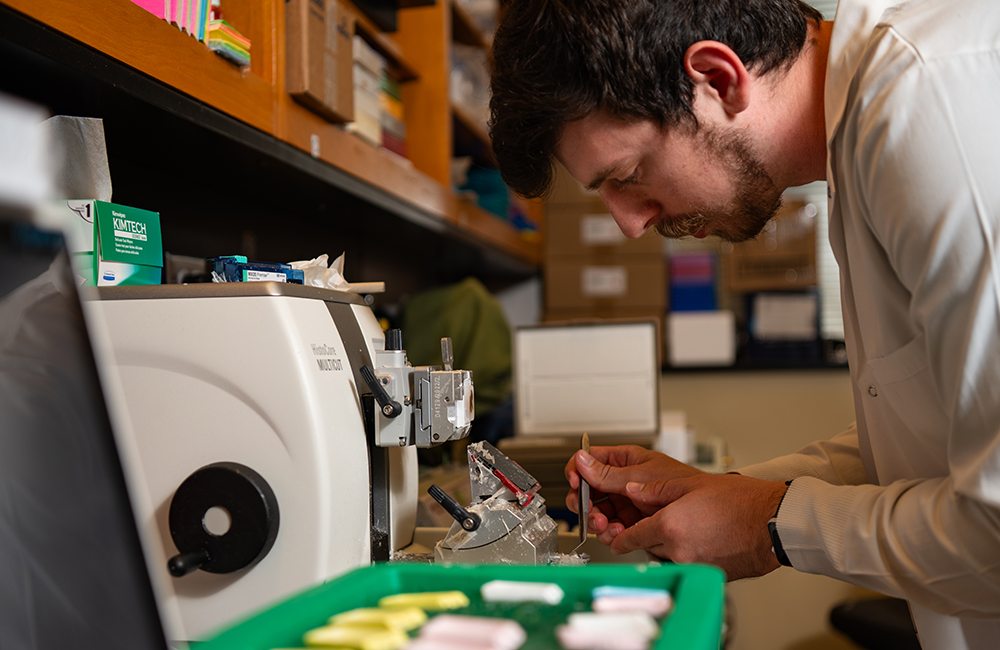 rep carstens lab microtome 1000x660px
