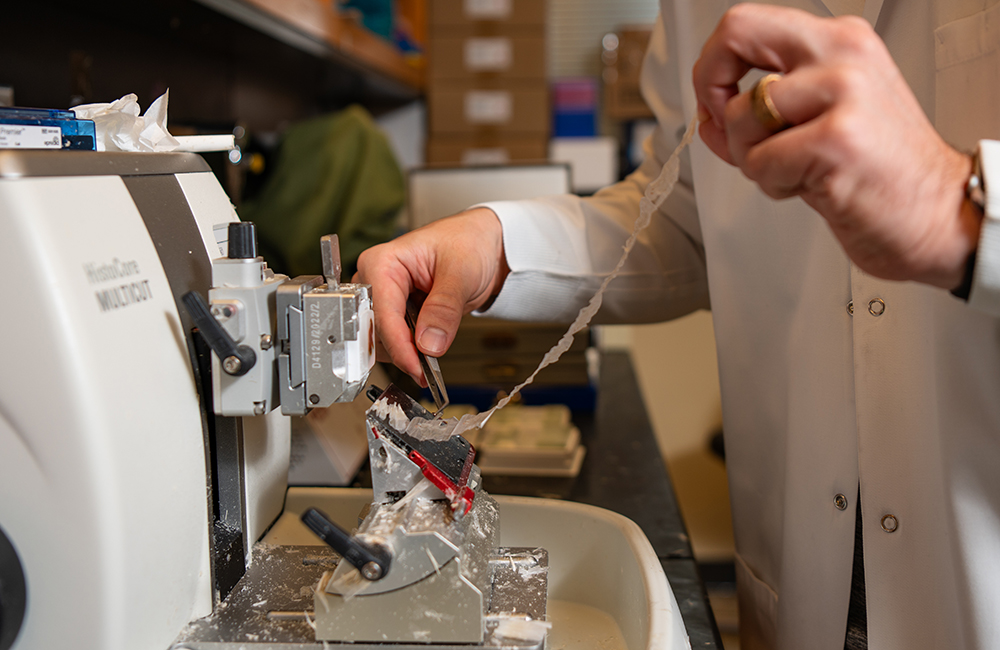 rep carstens lab microtome 1000x660px