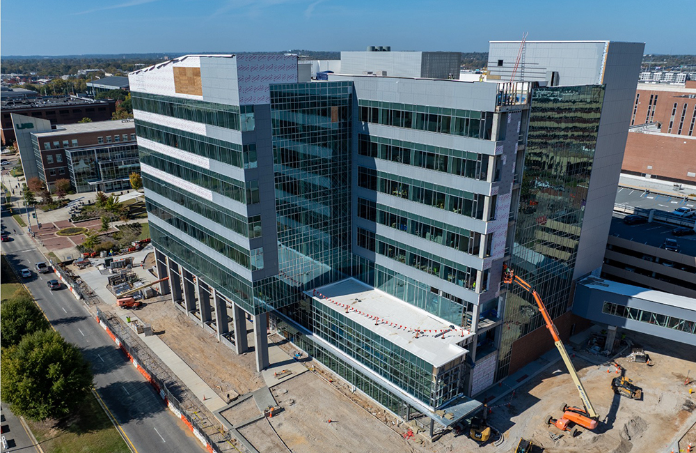 rep 2026 biomed 1000x650px