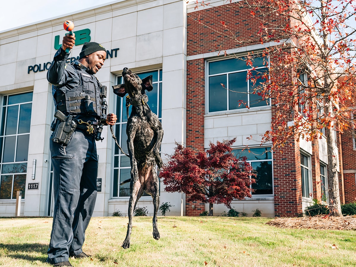 UAB police officer plays fetch with K9 Officer Dolly outside the UAB Police headquarters