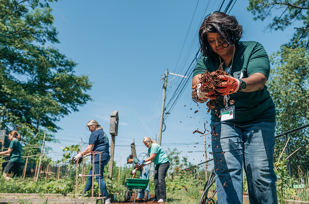 Four UAB staff spread mulch and do other gardening tasks at the UAB Solar House Gardens