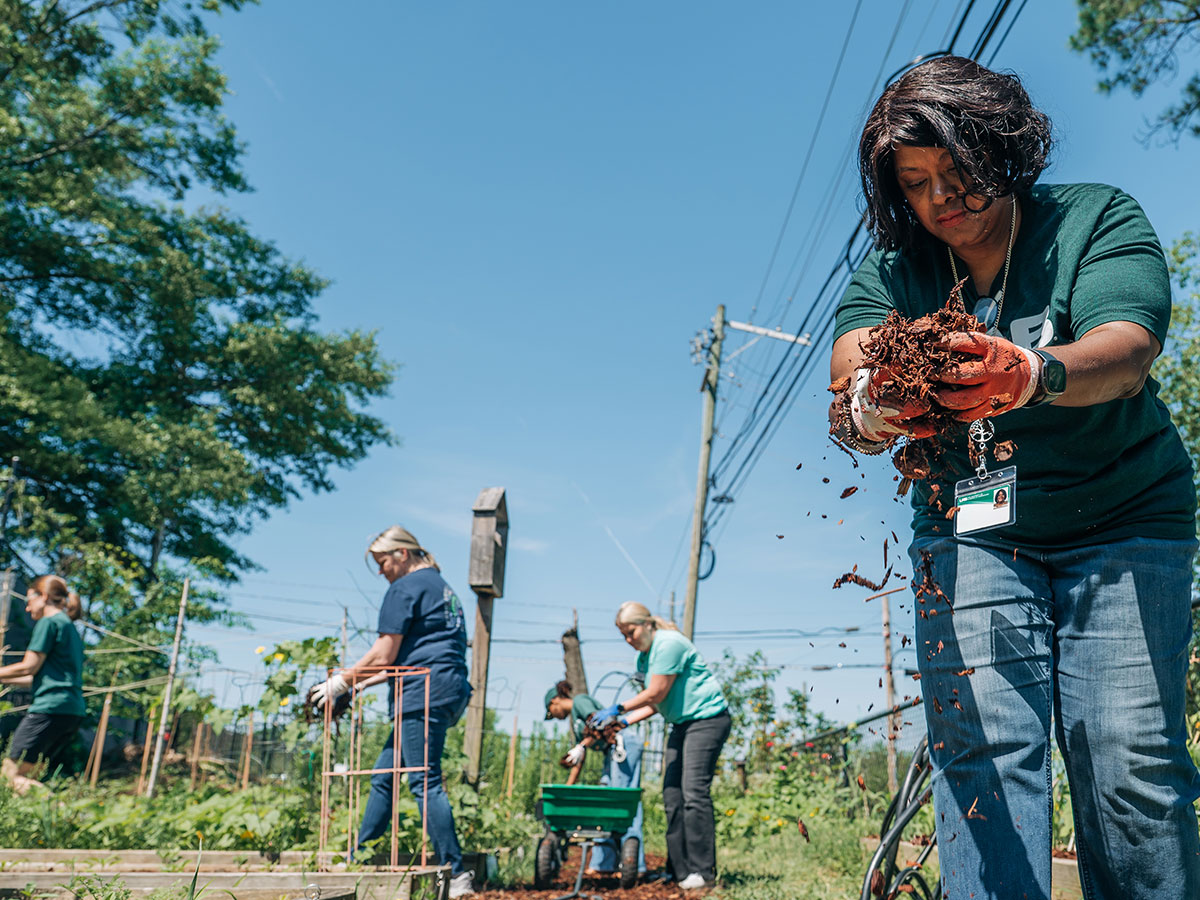 Four UAB staff spread mulch and do other gardening chores at the UAB Solar House garden