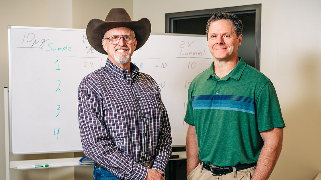 Cameron Sheeler, Ph.D., wearing a cowboy hat, and Kevin Storr in front of a whiteboard in Sheelers lab