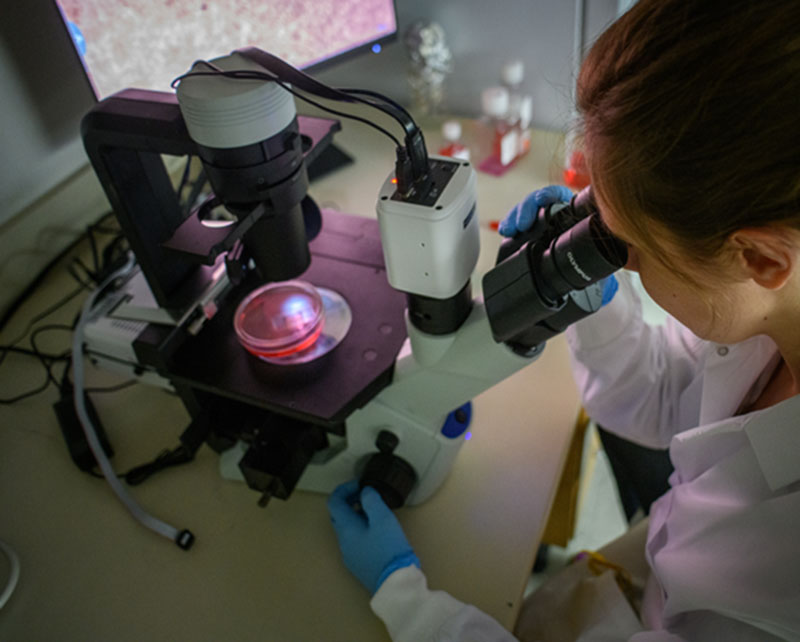 Transparency In Research