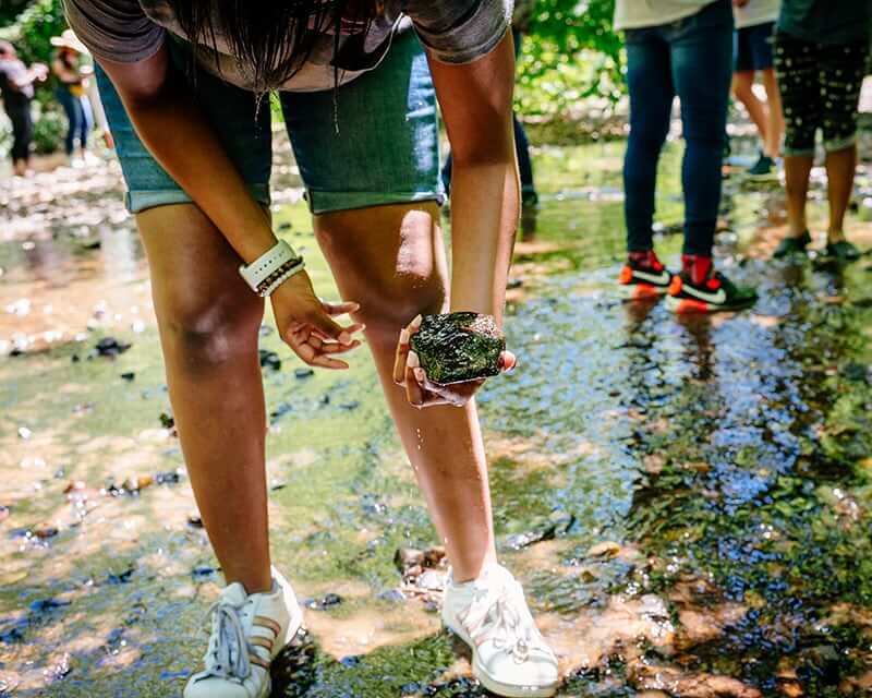 Students: Service Learning