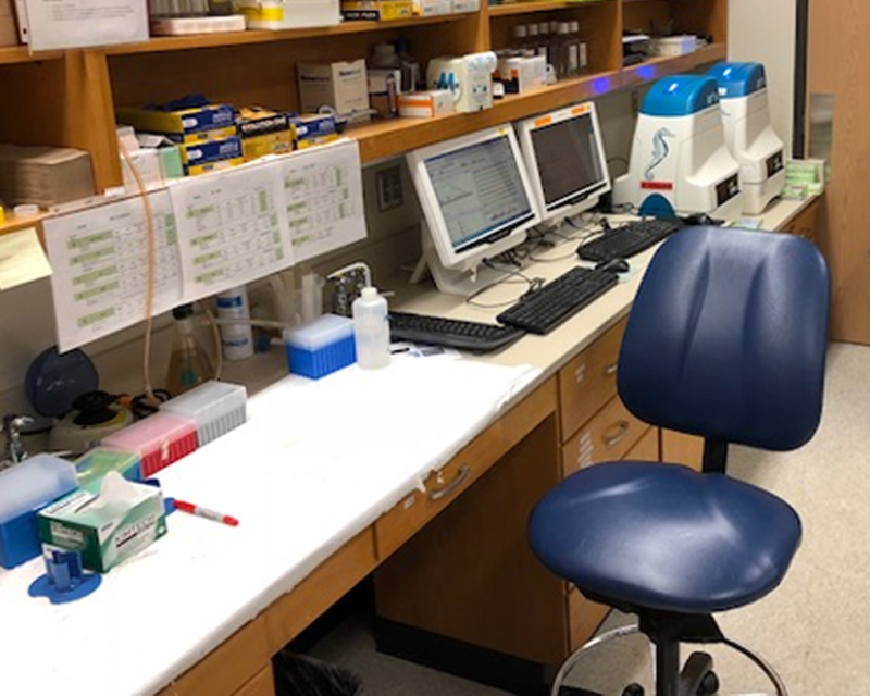 Comparative Organismal Energetics Core (Organismal Core)