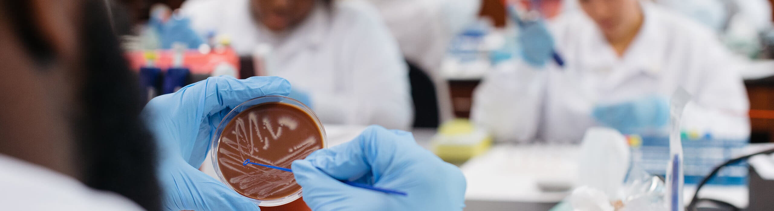 researchers working in a lab