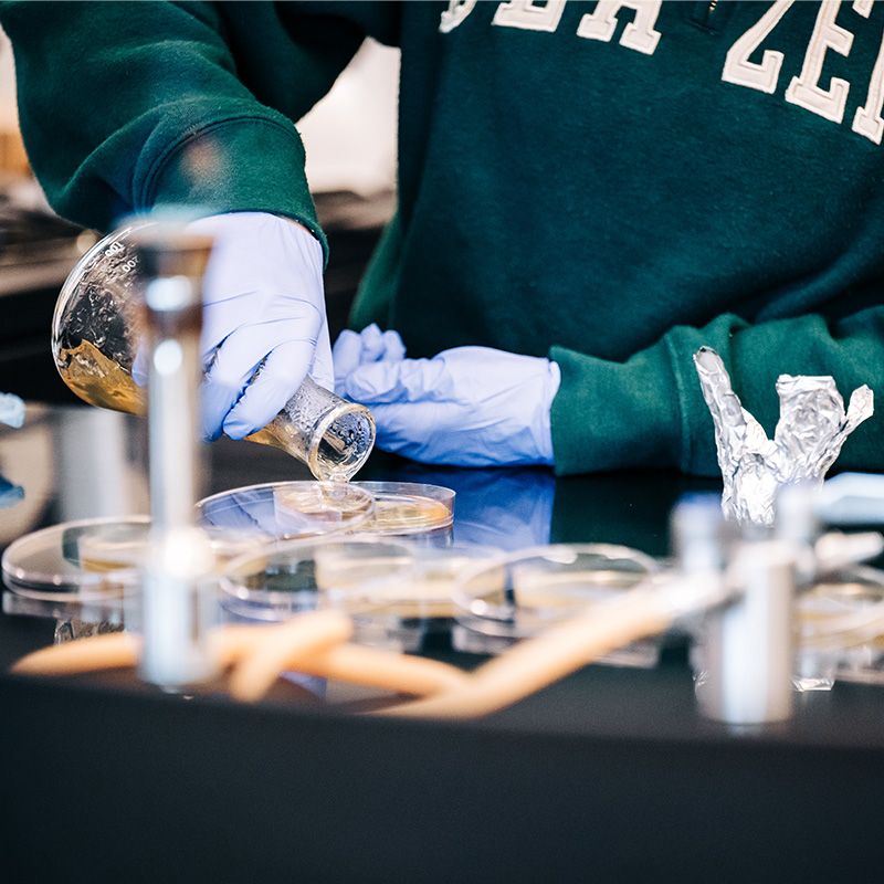 Biotechnology Minor