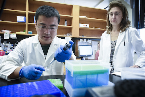 Diabetes Research Center (DRC)