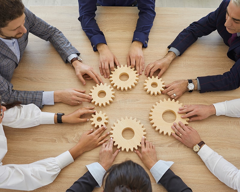 multiple sets of hands arranging light-colored wood gears in a circle on a table.