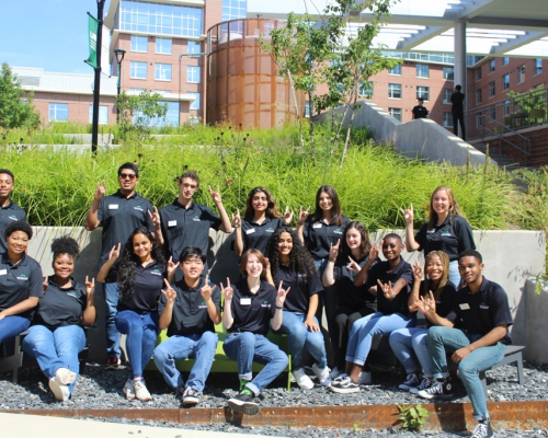 Peer Wellness Ambassadors