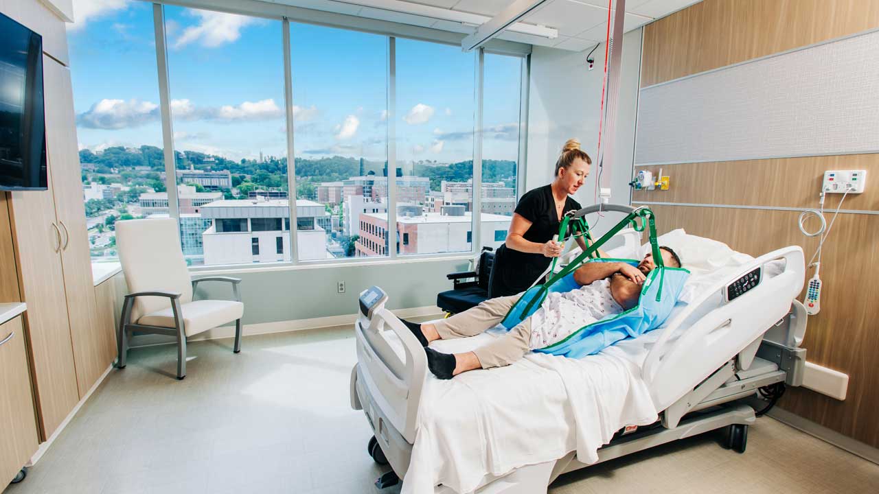 >Research shows that views of greenery, particularly trees and shrubs, helps students learn and patients heal