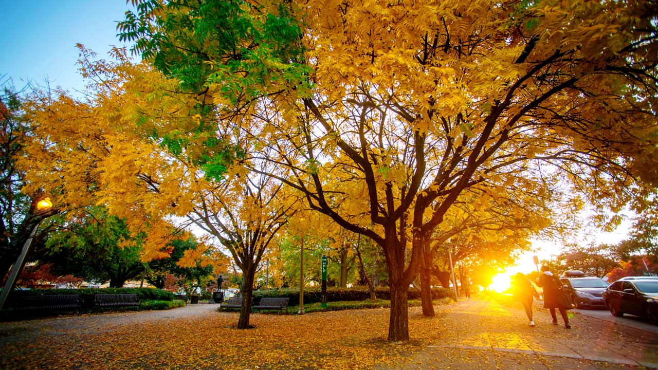 UAB’s Mini Park feature dramatic color in fall.